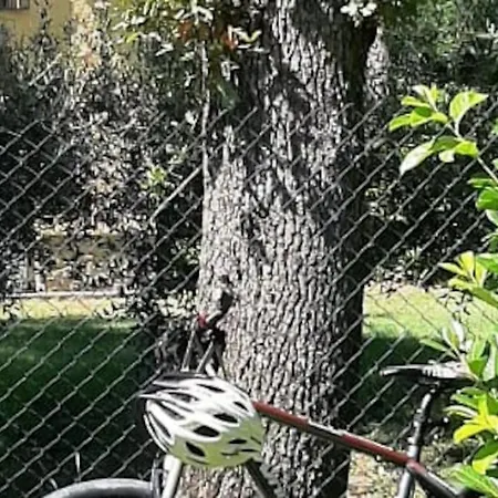 Casa L'aria Leggera *